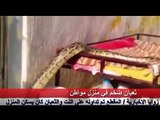 ثعبان ضخم في منزل أسرة سعودية - لاينصح بمشاهدته من قبل اصحاب القلوب الضعيفة