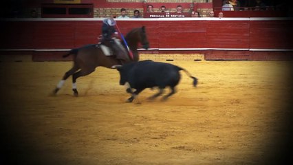Spot Diego Ventura Málaga