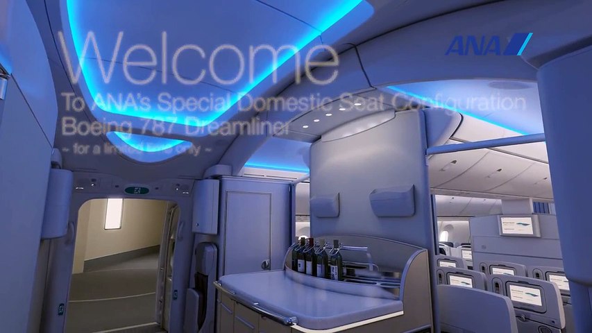 Welcome To Ana S Special Domestic Boeing 787 Dreamliner