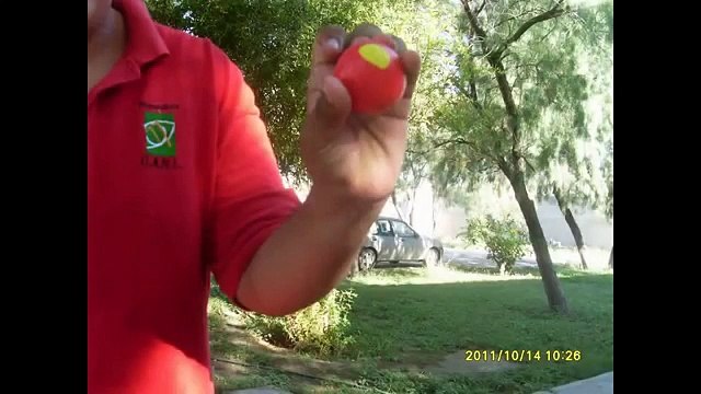 Thumbnail