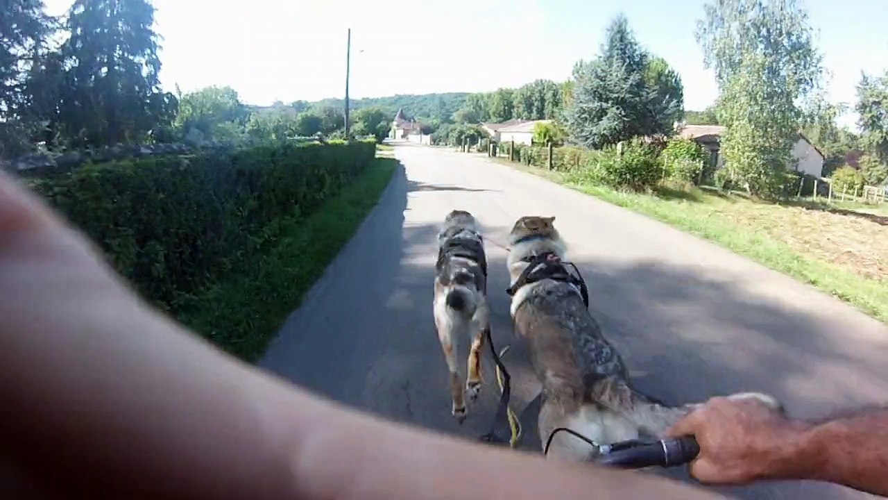 trot en live