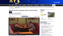 Man brings snake into restaurant, says it's a service animal