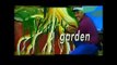 Cecilia & Vasilis Garden 1: Why Edible Balcony gardens beat back veggie gardens