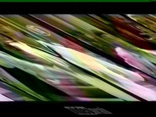 Amal-maher: ya 3eni 3aleki ya tiba