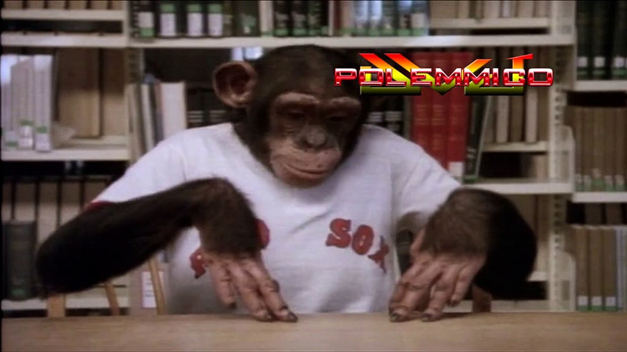 TEASER Tears For Fears - Head Over Heels (Pole The Aberdinshire Xtended Re Edit Mix) 1985