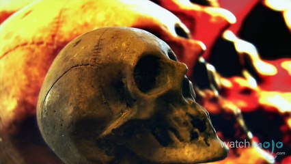 Top 10 Surprisingly Dangerous Animals