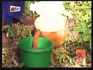 Mystique: un serpent propriétaire du village à Dionewar