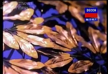 Cantonese   容易受傷的女人  Rong Yi Shou Shang De Nv Ren