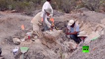 العثور على هيكل ديناصور في المكسيك