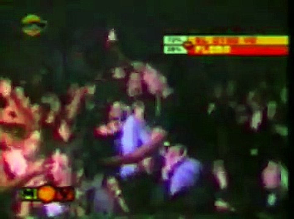 Flema - Nunca sere policia