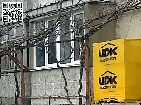 кошка котят домой несёт. хозяйка будет рада))