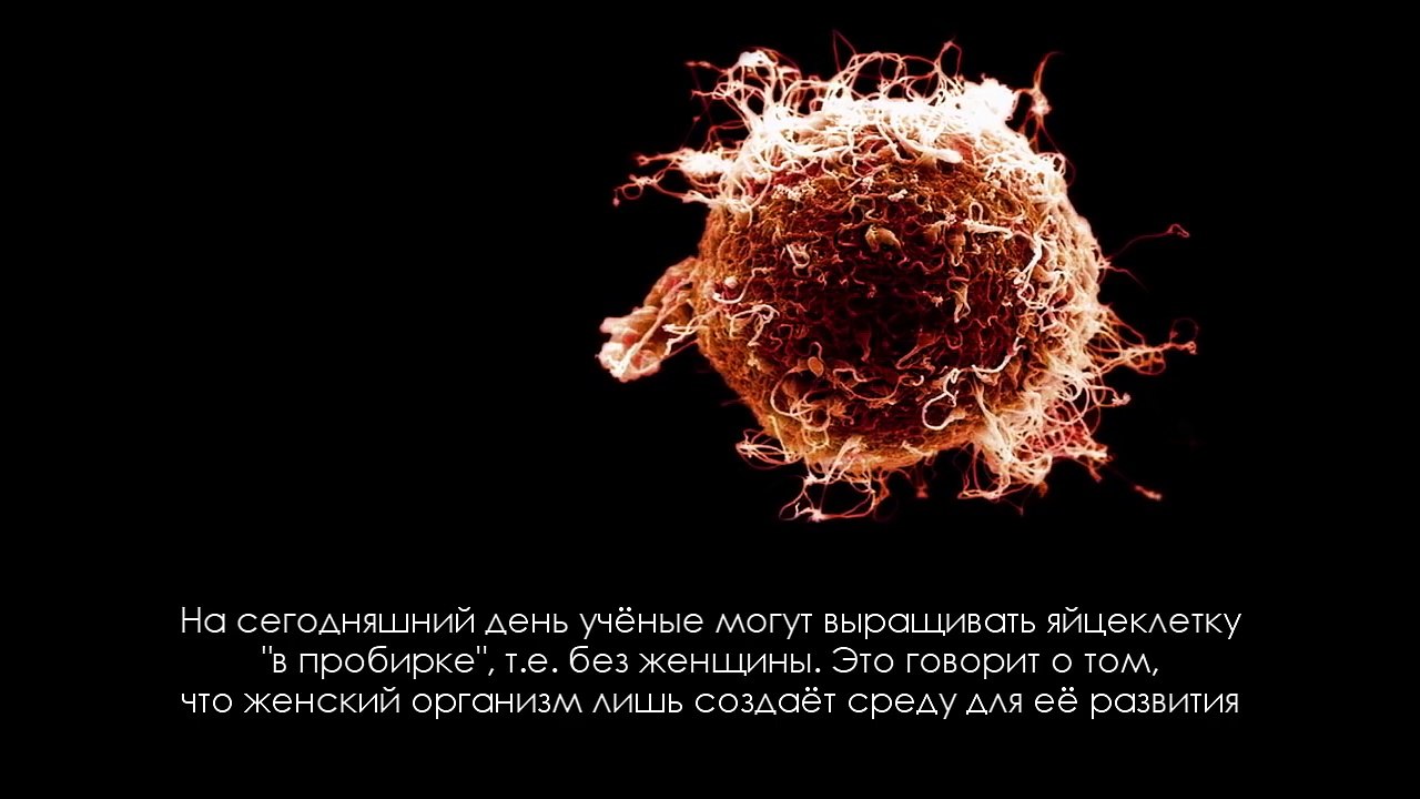 Фильм "Рождение Человека"