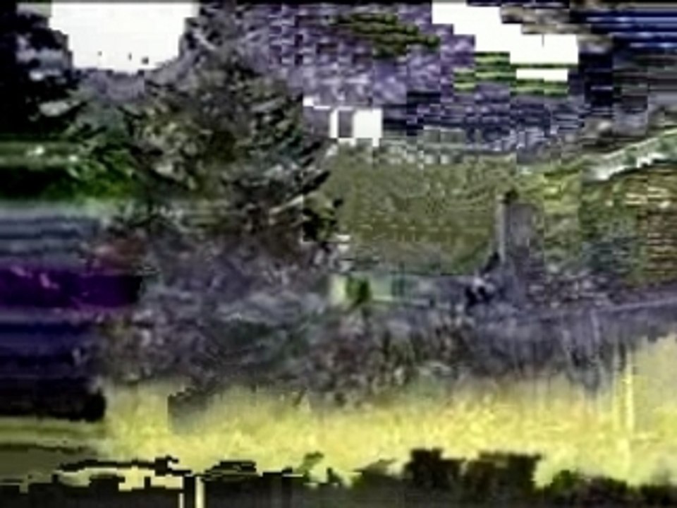 Skate - Jakass - bam margera - tree jump