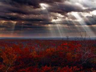 Mezmur by Jossy Kassa