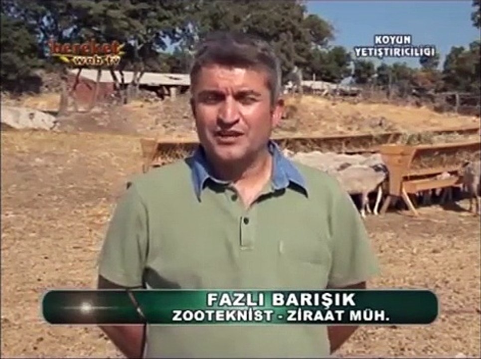 Hayvancılık - Koyun yetiştiriciliği - 2. Bölüm