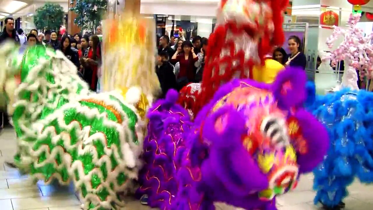 Party Rock Anthem Lion Dance Performance 2