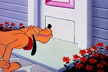 Donald Duck - Mickey Mouse & Chip and Dale New Cartoon p3