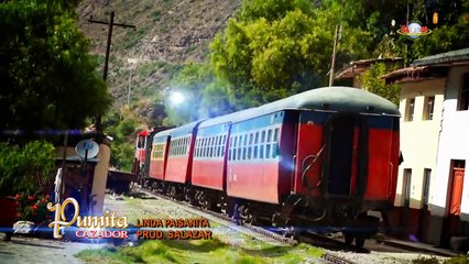 PUMITA CAZADOR    LINDA  PAISANITA 2015