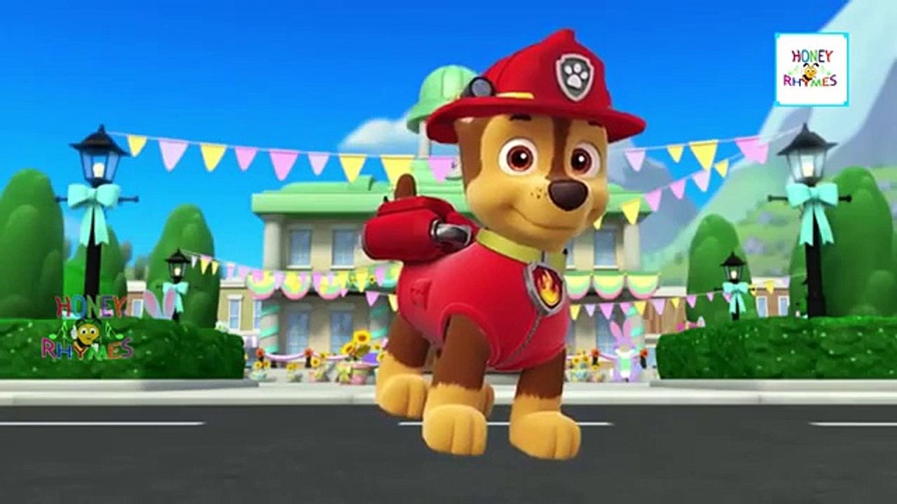 Paw Patrol and Pocoyo Toy Cartoons Finger Family Collection | Cartoon Animation Kids Nursery Rhymes