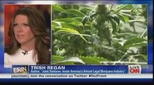CNN Erin Burnett and Bloomberg's Trish Regan: The move to legalize marijuana 11/08/12