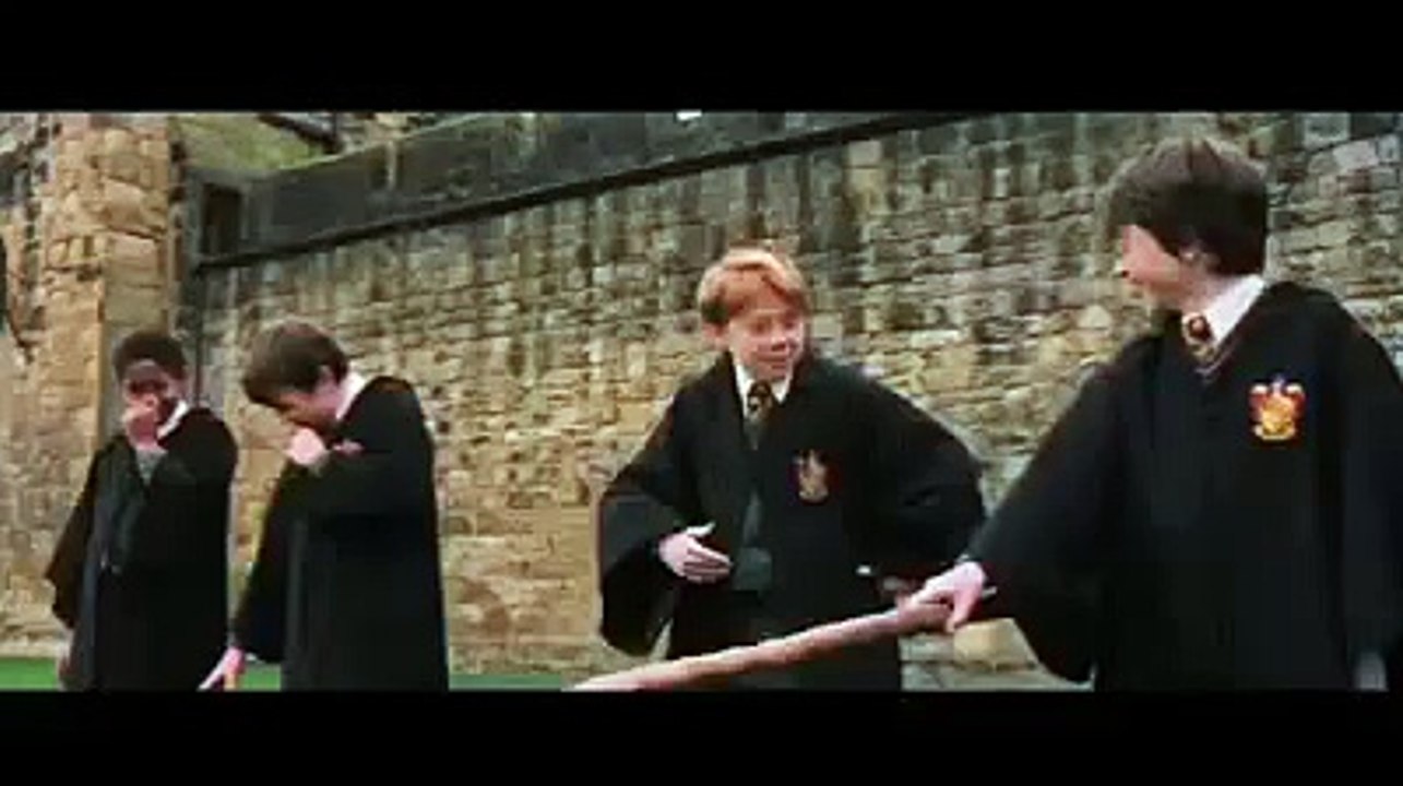 Harry Potter - Remix