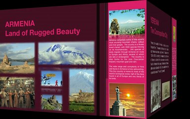 YHGI Business Plan 2010