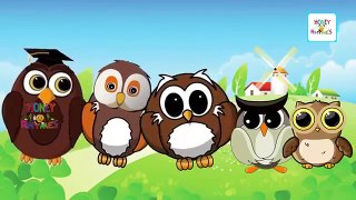Finger Family Cartoon Collection Elmo and Owl Cartoon Finger Family Animation Nursery Rhymes for Chi