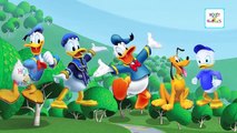Donald Duck Cartoon Finger Family Songs | Daddy Finger Nursery Rhymes | Cartoon 2d Animations