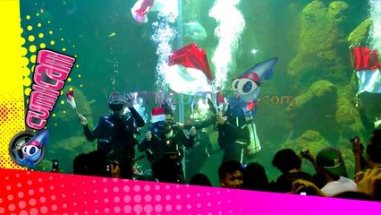 Dalam Air, Chua Kibarkan Bendera - Cumicam 18 Agustus 2015