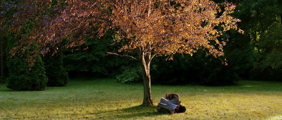 Every Thing Will Be Fine