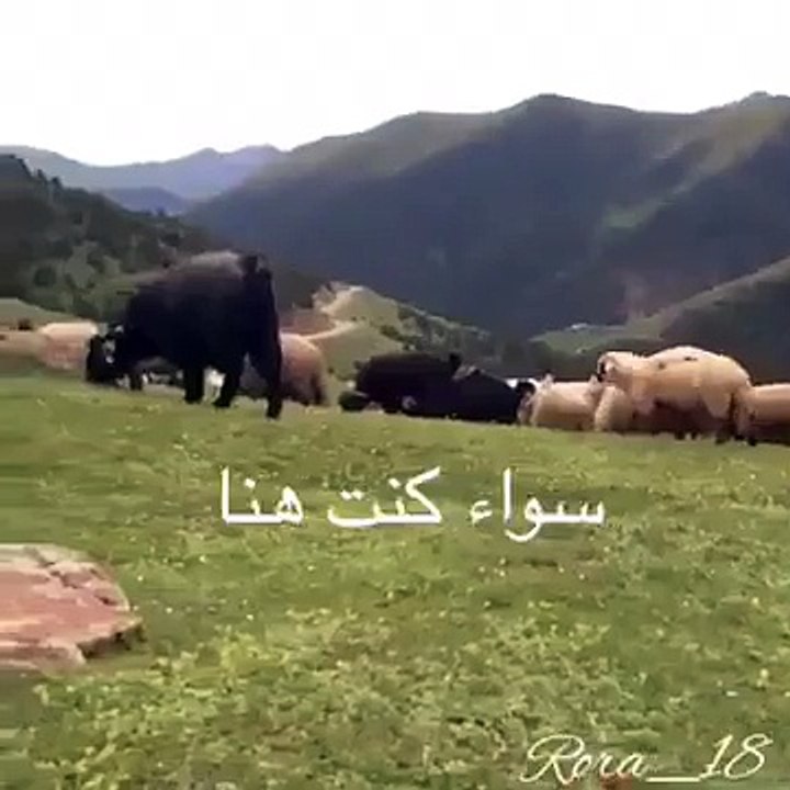 خلصت الاجازه هههههههههههه