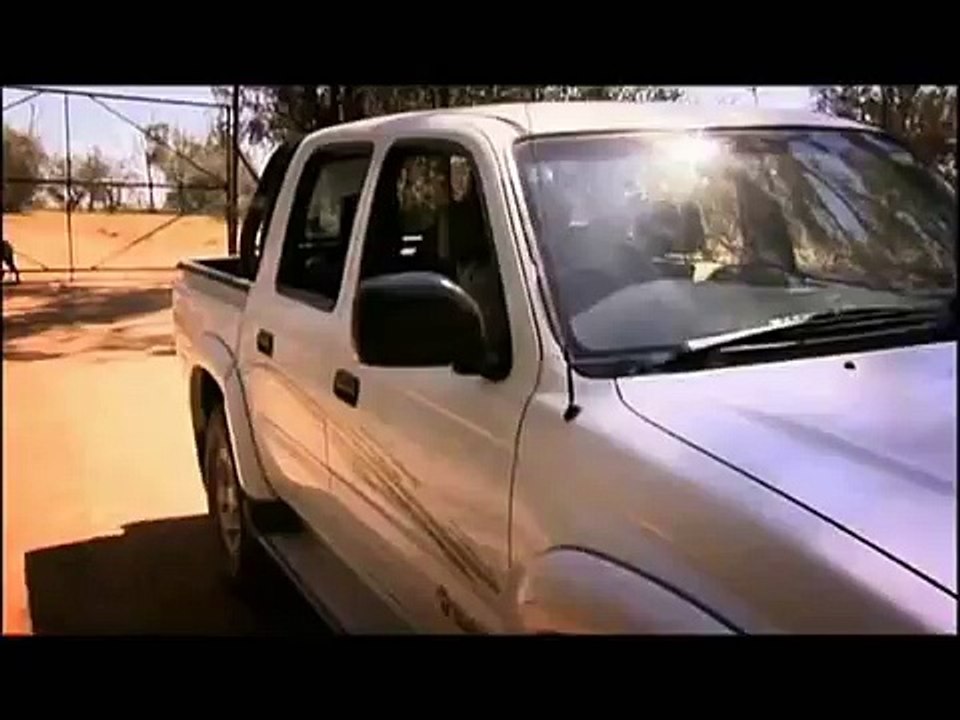 Captive Lions meet captive Hyena