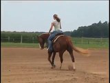 Tejons Aristocrat- Reining horse for sale