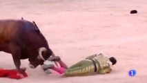 Bullfighter gets gored in the neck in to ring during corrida!