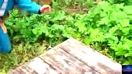 Epic Fail Compilation ! - Best Epic Fails // Amazing Funny Video Funny.Very