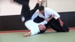Les sélections techniques Aikido de Michel Erb Sensei Part 7