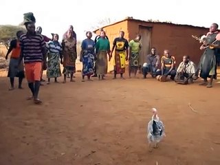 Traditional Tanzanian (GOGO) song and dance (Group Name: Nyuki Mautya Belega Kongwa)