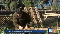 SETTIMANALE RAI 3 - LA LUMACA MADONITA (Il più grande allevamento di lumache d'Italia)