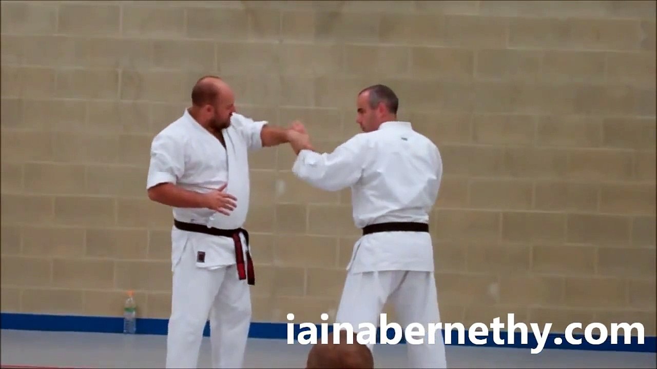 Practical Kata Bunkai: Pinan Nidan / Heian Shodan Turning "Lower Block"