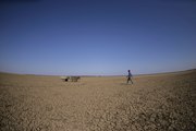 Au Botswana, la détresse des agriculteurs frappés par la sécheresse