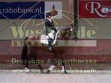 Sporthorse / Dressage horse for sale : SOLD!!