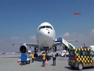 Uçak leylek sürüsüne daldı