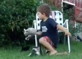 Adorable : Un petit garçon joue avec des petits chatons