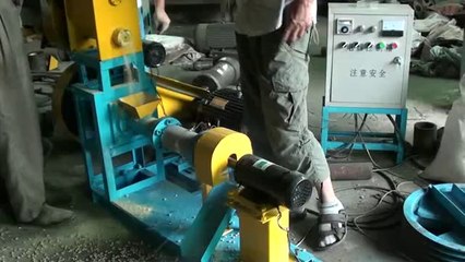 DGP-60 floating fish feed pellet machine