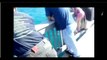 Kayaker's rare encounter with huge shark!! Florida kayaker has close encounter with enormous shark!!