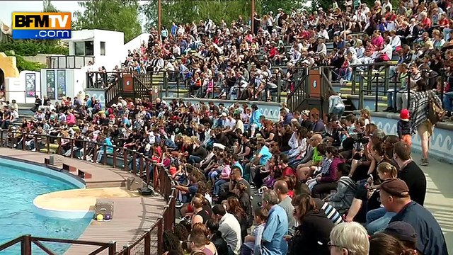 Une semaine dans les parcs d'attraction: plongée dans le décor gaulois du Parc Astérix
