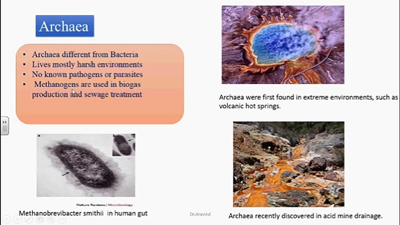 Introduction to Medical Microbiology