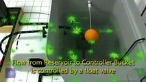 Animation: Recirculating Deep Water Culture Hydroponics Walkthrough (Updated)