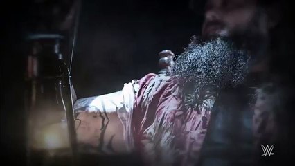 WWE SummerSlam 2015 THIS SUNDAY, Live on WWE Network On Fantastic Videos