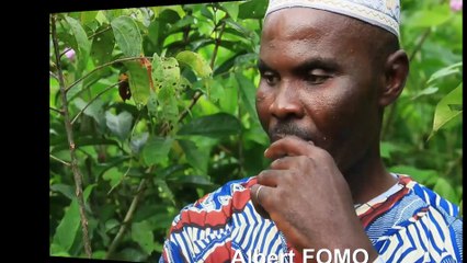 Les ways du pays - La direction